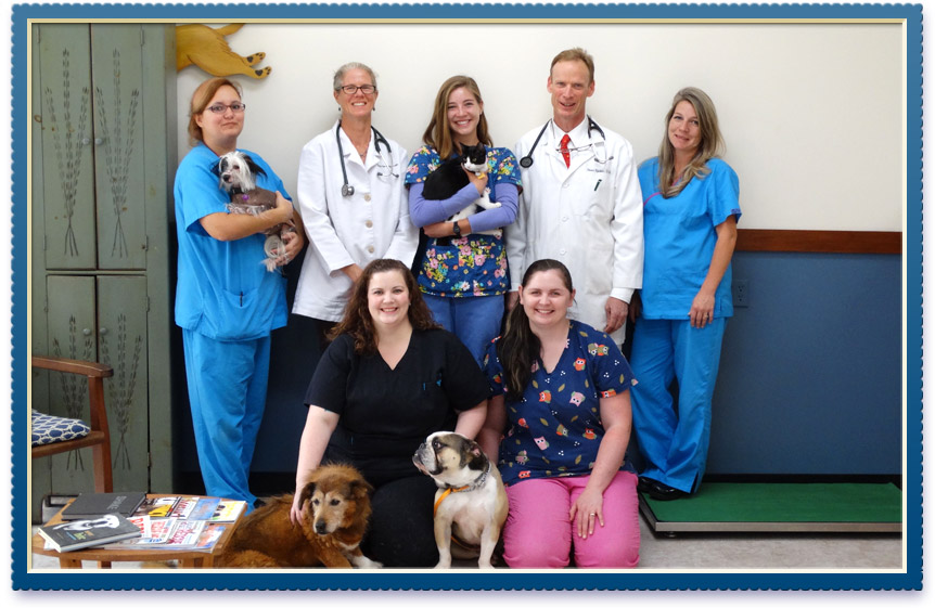 Tour Charlottesville Vet UVA Veterinarian